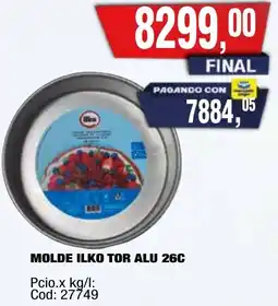Maxiconsumo Ilko molde tor alu oferta