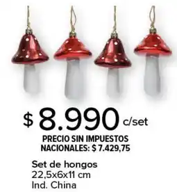 Carrefour Set de hongos oferta