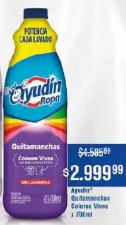 Makro Ayudín quitamanchas colores vivos oferta