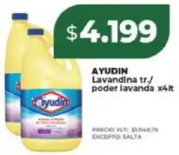 Supermayorista Vital Ayudín lavandina tr./ poder lavanda oferta