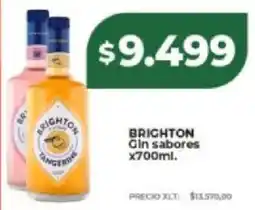 Supermayorista Vital Brighton gin sabores oferta