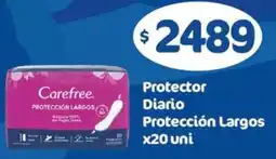 Nini Mayorista Carefree protector diario protección largos oferta