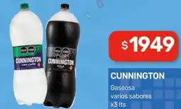 Nini Mayorista Cunnington gaseosa varios sabores oferta