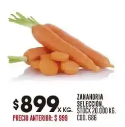 Coto Zanahoria selección oferta