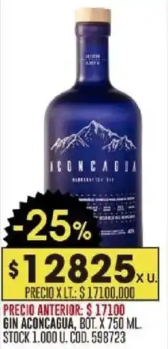 Coto Aconcagua gin oferta