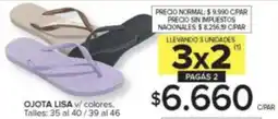 Carrefour Ojota lisa v/ colores oferta