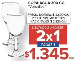 Carrefour Versalles copa agua oferta