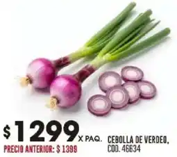 Coto Cebolla de verdeo oferta
