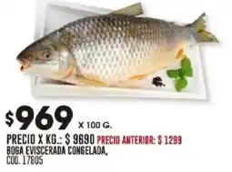 Coto Boga eviscerada congelada oferta