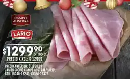 Coto Austral/lario jamón cocido campo oferta