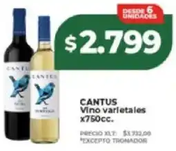 Supermayorista Vital Cantus vino varietales oferta