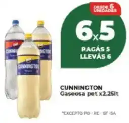 Supermayorista Vital Cunnington gaseosa pet oferta