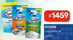 Nini Mayorista Ayudin limpiadores dp oferta