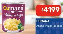 Nini Mayorista Cumana ananá trozos oferta