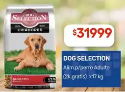 Nini Mayorista Dog selection alim.p/perro adulto oferta