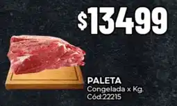 Diarco Paleta congelada oferta