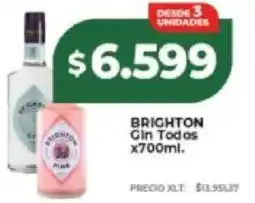 Supermayorista Vital Brighton gin todos oferta