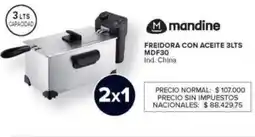 Carrefour Mandine freidora con aceite 3lts oferta