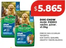 Supermayorista Vital Dog chow alim. perro cacho. p/car. oferta