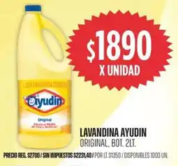Supermercados Vea Ayudín lavandina original, bot. oferta