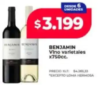 Supermayorista Vital Benjamin vino varietales oferta