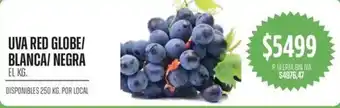 Uva red globe/ blanca/negra