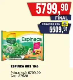 Maxiconsumo Espinca gds oferta