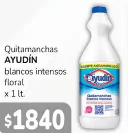 Beltrán Supermercados Ayudín quitamanchas oferta