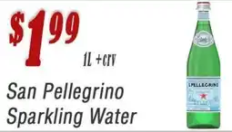 Nini Mayorista Sparkling water san pellegrino oferta
