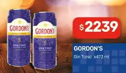 Nini Mayorista Gordon's gin tonic oferta
