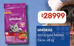 Nini Mayorista Whiskas alimento para gato adultos carne oferta
