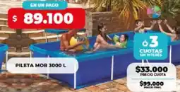 Supermayorista Vital Pileta mor oferta