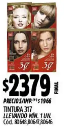 Supermercados Yaguar 317 tintura oferta