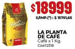 Diarco La planta de café café oferta