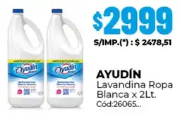 Diarco Ayudín lavandina ropa blanca oferta