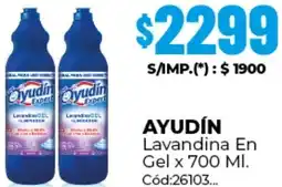 Diarco Ayudín lavandina en gel oferta