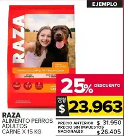 Carrefour Maxi Raza alimento perros adultos carne oferta