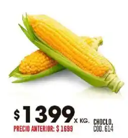 Coto Choclo oferta
