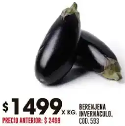 Coto Berenjena invernaculo oferta