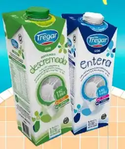 Blow Max Tregar leche entera o descremada oferta