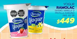 Blow Max Ramolac yogur entero vainilla o frutilla durazno paq. oferta