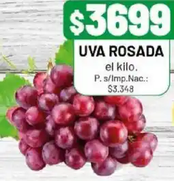Almacor Uva rosada oferta