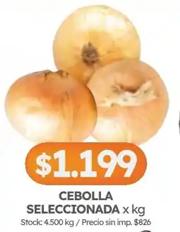 Cordiez Cebolla seleccionada oferta