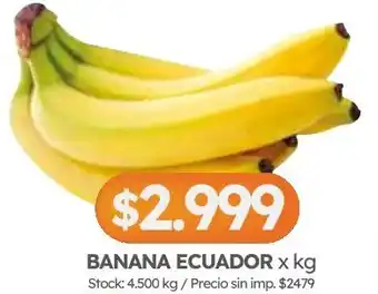 Cordiez Banana ecuador oferta