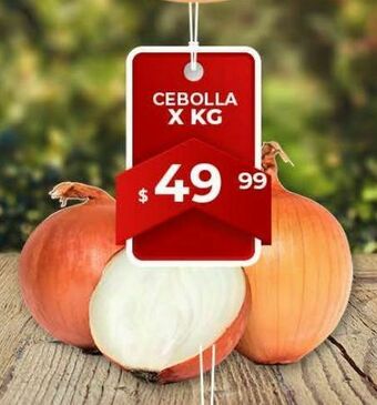 Makro Cebolla x kg oferta