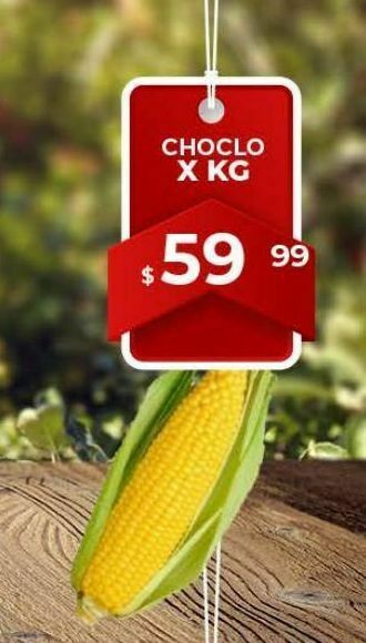 Makro Choclo x kg oferta