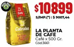Diarco La planta de café oferta