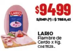 Diarco Lario flambre de cerdo oferta