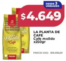 Supermayorista Vital La planta de cafe cafe molido oferta