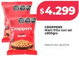 Supermayorista Vital Croppers mani frito con sal oferta